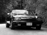 Jaguar XJ-S Convertible 1988 года (US)